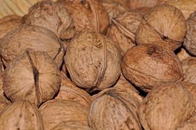 walnuts close-up