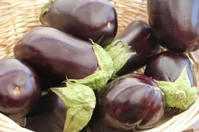 macro eggplant vegetable
