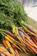 tasty nutritious carrots