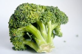 Green healthy fresh broccoli