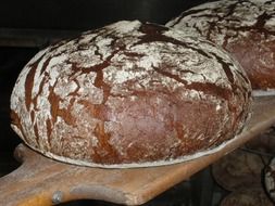 Baked, fresh crusty bread on a wooden board