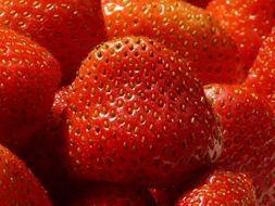 Strawberry is the sweet berry