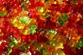 bear fruit gums