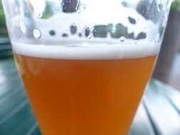 wheat beer with foam