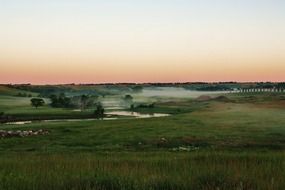 Green wild grasslands at dusk