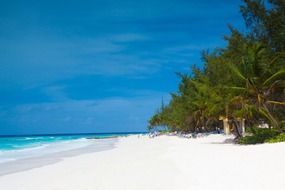 white sand beach in Barbados
