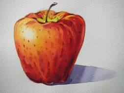 watercolor painted red apple