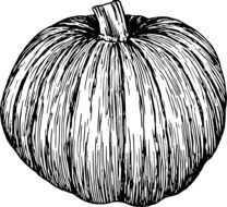 pumpkin pencil drawing
