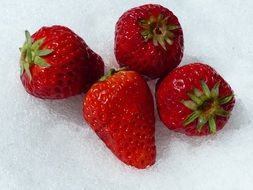 four red strawberries on snow