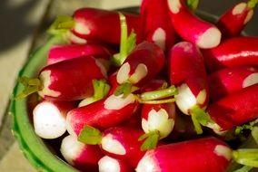 vitamin radish close-up