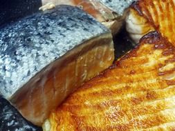grilled salmon pieces close-up