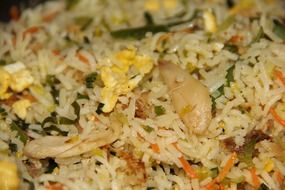 fried rice in indian cuisine