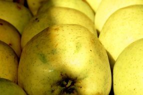 neatly stacked apples