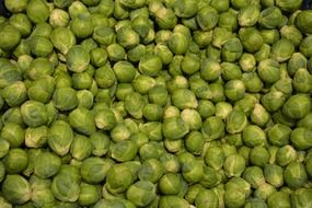 many green broccoli