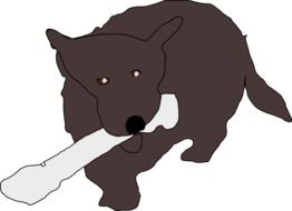 Picture of eating bone dog