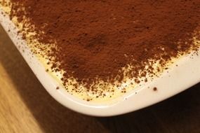 tiramisu in cocoa