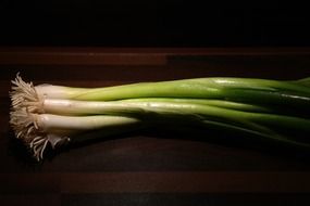 stalk of winter onion leek