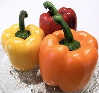 three colorful peppers on the table