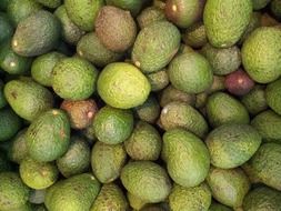 lot of colorful avocados