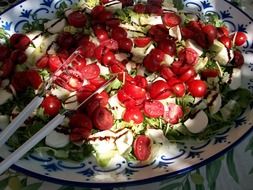 Salad with tomatoes and mozzarella on a plate