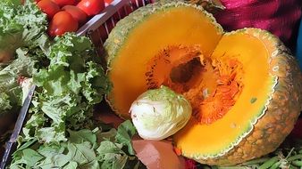 pumpkin, cabbage, greens and tomatoes in the kitchen