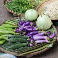 vegetables on a round plate in the market