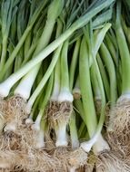 a bunch of leeks lie in a heap in the market