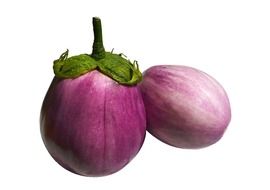 graphic image of pale purple eggplants