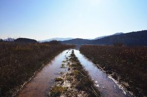 water stream in the field