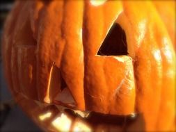 pumpkin jack