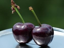 two red cherries on dish