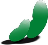 Clipart of two green beans