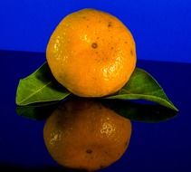 Mandarin with leaves