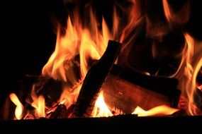 Burning woods in barbecue