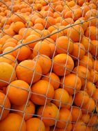 Fresh oranges in market