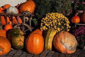 floral decorations flowers and pumpkin ornament