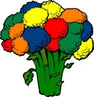 Colorful healthy broccoli as a clipart