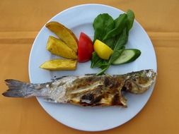 fish with vegetables on a white plate