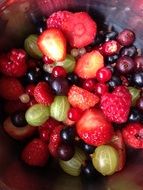 tasty summer fruits