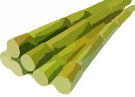 painted sugarcane