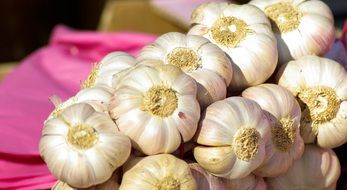 Cloves of garlic in the market