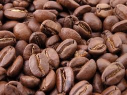 brown beans