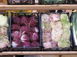 colorful cabbage in boxes on market display