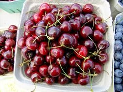 cherry as a storehouse of vitamins