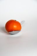 orange fruit in a spoon