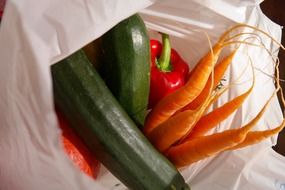 shopping bag with vegetables