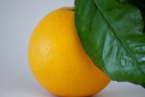 orange fruit with vitamin C