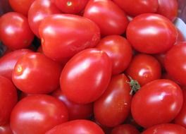tomatoes red vegetables food meal