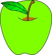 drawing of green apple with green leaf