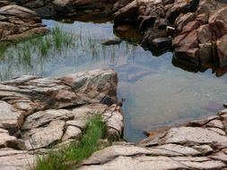 pool in a rocks in nature